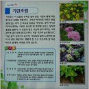 성남시립식물원은행자연관찰원 티스토리