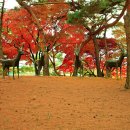 우제류를위하여 이미지