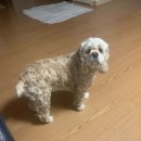 아름답고 예쁘개 이미지