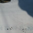 덕일약품 이미지