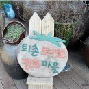 토마루농장 네이버블로그
