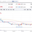 디아이티 주식회사 이미지