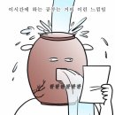[초등 임용] 후기