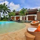 Dog.(독점) 이미지