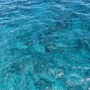 쉬림프라운지 이미지