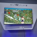 전통문화콘텐츠박물관 | 안동 아이랑 가볼 만한곳 전통문화콘텐츠박물관 방문후기