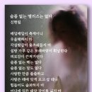 슬픔 없는 앨리스는 없다 - 신현림 이미지