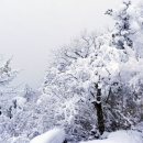 명산100 겨울 추천 산행지 이미지