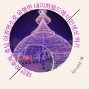 태안 빛축제, 충남 야경명소로 유명한 네이처월드에서 인생샷 찍기