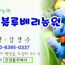김경순농장 이미지