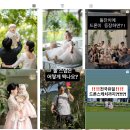 2989 | 내돈내산 대전 돌스냅 권용호스냅 예약후기 짝꿍할인 같이 받아요