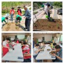 가인농장 이미지