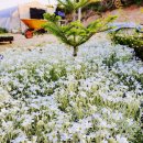 명옥농장 이미지