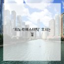 피노라 네이버블로그
