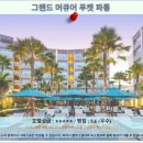 푸켓 파통 호텔 추천: 그랜드 머큐어 푸켓 파통 후기, 완벽한 푸켓 여행!