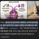 공차부산사상 | [내돈내산] 부산 사상 쉽커피 우베라떼 솔직 후기 (우베 뜻, 우베 맛, 우베와 고구마의 차이)