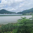 장평리 - 금악리 이미지