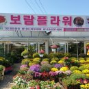 보람있는이곳 이미지