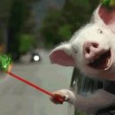 자갈치곰장어 이미지