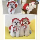 견식도락 거제시청점 이미지
