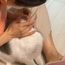 그럴수도…아닐수도