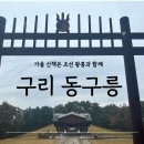 정규코스. 특별코스 | 가을 산책하기 좋은 곳 동구릉 숲길 주차 추천 코스