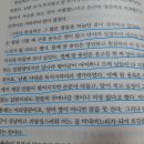 송&김약국 이미지