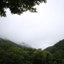 박영애농장 이미지