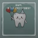 트리지움치과의원 | 잠실역 임플란트 &amp; 치아교정 잘하는 치과 추천가이드