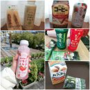 일본 오사카/교토 3박 4일 여행 솔직 후기 (4월 날씨/옷차림/음식/맛집 추천/준비물)