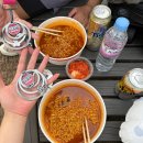 필리플레이스(pilyplace) 호텔배스타월 부드럽고 감성있는 비치타월 추천