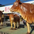 창녕축협육가공센터