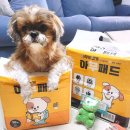 아무도없개 이미지