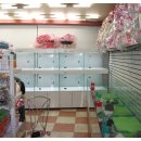 견우애견 이미지