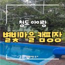 대구 근교 아이랑 청도별빛마을오토캠핑장 명당 추천 🎪 두가족 사이트 솔직한 내돈내산 팁