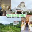 켄싱턴호텔 평창 디럭스 패밀리 트윈룸 솔직후기