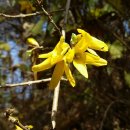 고문서(6점) 이미지