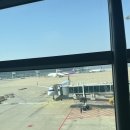 지우인터내셔날 | [상하이] 상하이 3박4일 추억남기기용 -아시아나, 공항픽업샌딩,헌지우이치엔 후기#1
