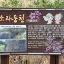 도호 티스토리