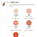 아비꼬 강남역점