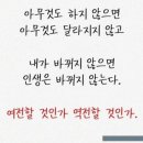 내가살뺀점핑다이어트 이미지