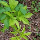 산골농장 이미지