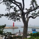 수민이네 이미지