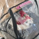 송승호내과의원 이미지