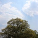 운문사정류장 이미지