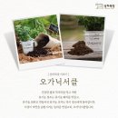 6월의 목장 이미지