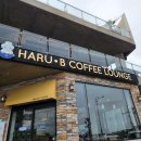 하루비:(HARU B:) | [제주 서귀포 카페] 바다 전망 카페 하루비 HARU B 커피