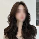 안정화헤어