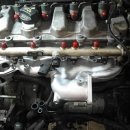 전.금강카크리닉 이미지