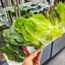 제육의법칙구미인동점 | 구미 점심맛집 쌈밥전문 쌈채소 무한리필 윤훈식 농가쌈밥 인동점